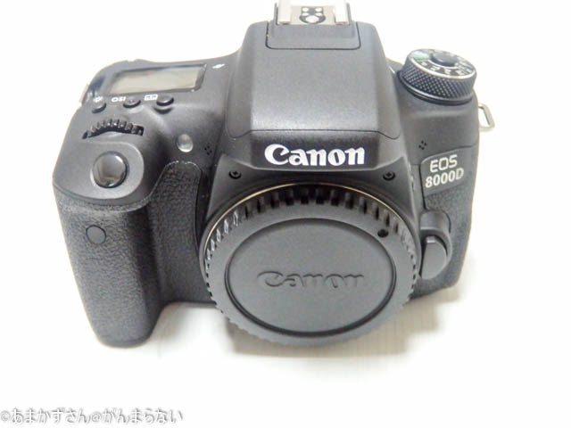 Canon EOS 8000Dを購入！ついに念願のデジタル一眼レフカメラデビュー！